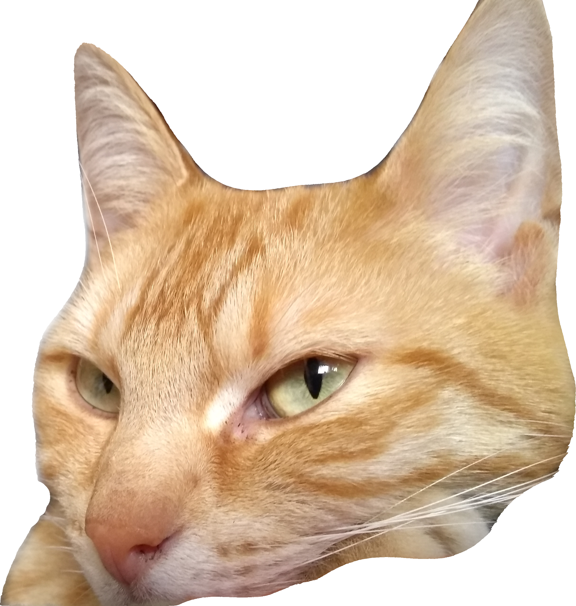 Bibi stare