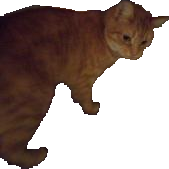 Bibi standing in darkness