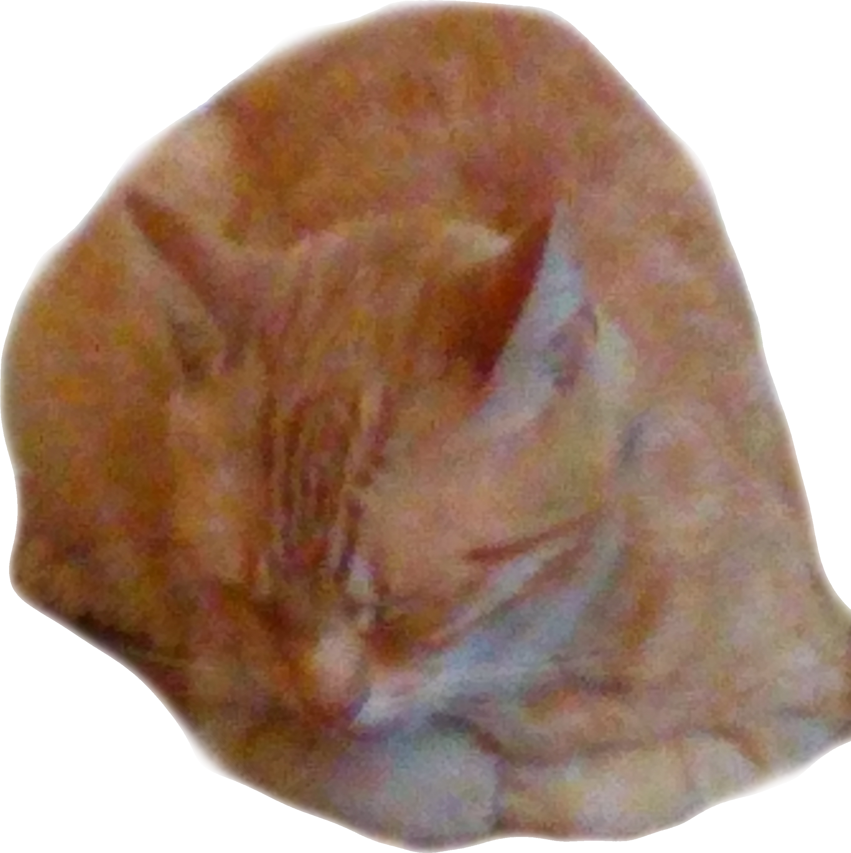 Bibi bread